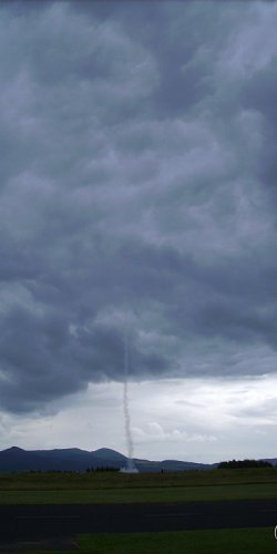 2013 Suche 29062013 Olivera